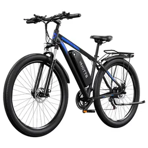 DUOTTS C29 Electric Bike 29 Inch 750W 48V 15AH 50km/h with Rear Rack