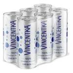 VINCENTKA Přírodní minerální voda multipack plech 6 x 250 ml