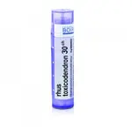 BOIRON Rhus Toxicodendron CH30 4 g