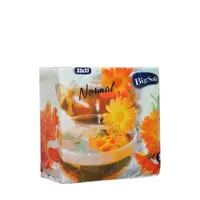 BIG SOFT ubrousky 33 x 33cm 1vrstvé 100 kusů