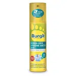 BURGIT Deodorant do bot Hygiene Active 175 ml
