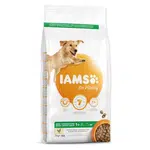 IAMS Dog Adult Large Chicken granule pro psy, Hmotnost balení (g): 12 kg