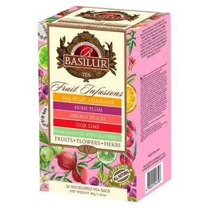 BASILUR Fruit infusions assorted IV ovocné čaje 20 gastro sáčků
