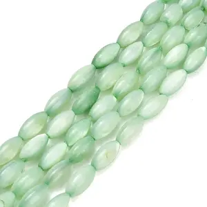 Natural Freshwater Shell Beads Strands