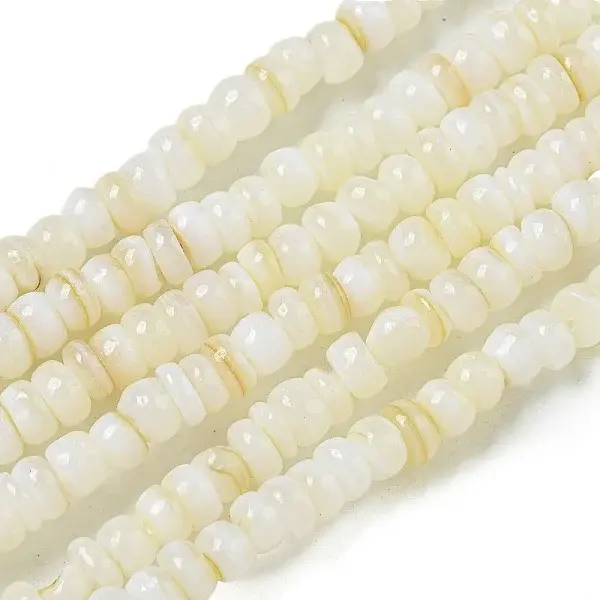 Dyed Natural Freshwater Shell Beads Strands