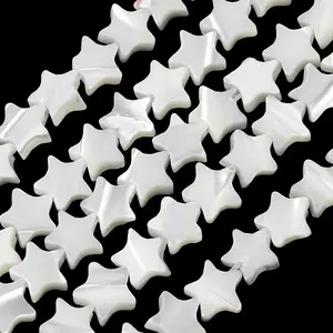 Natural Trochid Shell/Trochus Shell Beads Strands