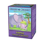 EVEREST AYURVEDA Gopal pohodlné dýchání sypaný čaj 100 g