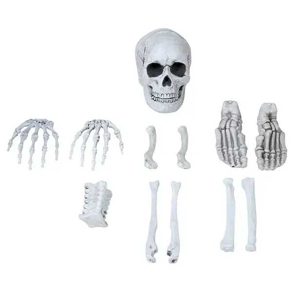 Guirca Dekoračná sada kostí 12ks