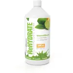 GymBeam REHYDRATE 1000 ML ZELENÝ ČAJ + LIMETKA Iontový nápoj, , velikost