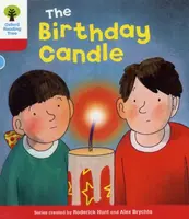 Oxford Reading Tree: Level 4: Decode and Develop: The Birthday Candle - Annemarie Young, Rod Hunt, Nick Schon