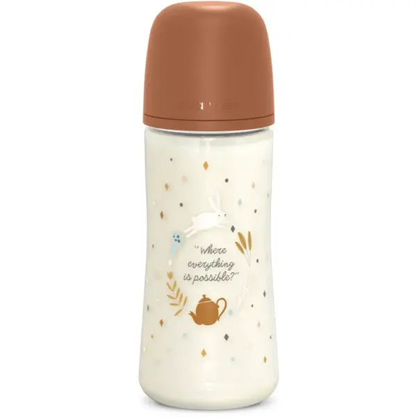 Suavinex Wonderland SX Pro Physiological Anti-Colic dojčenská fľaša L Dense Flow 6 m+ Brown 360 ml