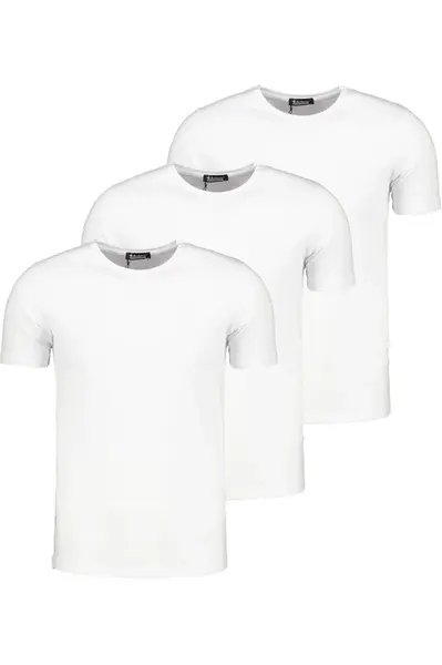 Pánské tričko dewberry