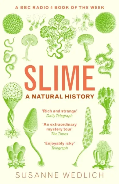 Slime - Susanne Wedlich
