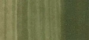 Copic classic marker – G85 Verdigris