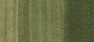 Copic classic marker – G85 Verdigris