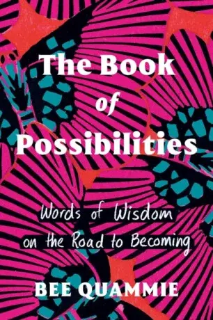 The Book of Possibilities - Bee Quammie