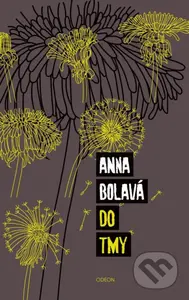 Do tmy - Anna Bolavá - kniha z kategorie Společenská beletrie