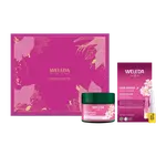 WELEDA Brightening Face Care Wild Rose & White Tea DUO
