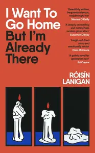 I Want To Go Home But Im Already There - Roisin Lanigan