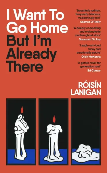 I Want To Go Home But Im Already There - Roisin Lanigan