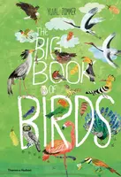 The Big Book of Birds - Yuval Zommer