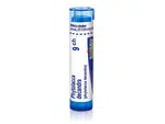 Phytolacca decandra 9CH granule 4g