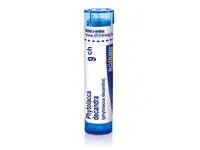 Phytolacca decandra 9CH granule 4g