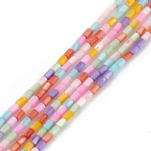 Natural Freshwater Shell Dyed Beads Strands