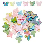 60Pcs 6 Colors Natural Freshwater Shell Beads