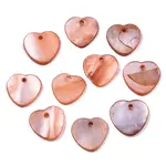 Natural Freshwater Shell Charms