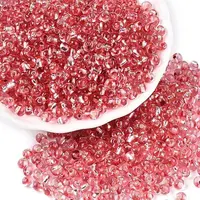 6/0 Baking Paint Transparent Fringe Glass Seed Beads