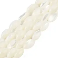 Natural Trochus Shell Beads Strands