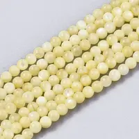 Natural Freshwater Shell Beads Strands
