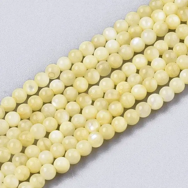 Natural Freshwater Shell Beads Strands