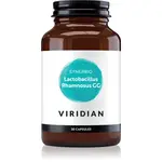 Viridian Nutrition Synerbio Lactobacillus Rhamnosus GG probiotika 30 cps