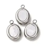 304 Stainless Steel Resin Pendants