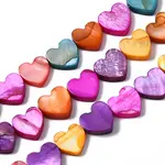 Natural Freshwater Shell Beads Strands