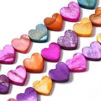 Natural Freshwater Shell Beads Strands