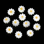 Natural White Shell Enamel Beads