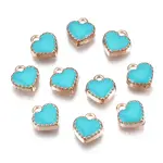 Alloy Enamel Charms