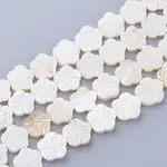 Natural Freshwater Shell Bead Strands
