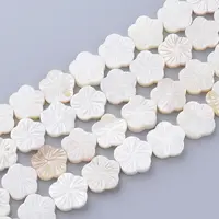 Natural Freshwater Shell Bead Strands