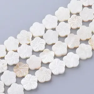 Natural Freshwater Shell Bead Strands