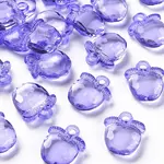 Transparent Acrylic Pendants