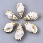 Natural Conch Shell Pendants