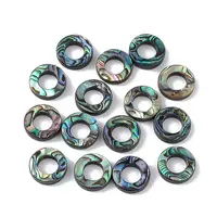 Natural Abalone Shell/Paua Shell Beads