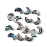 Natural Abalone Shell/Paua Shell Beads