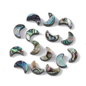 Natural Abalone Shell/Paua Shell Beads