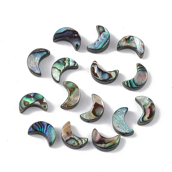 Natural Abalone Shell/Paua Shell Beads