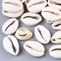 Natural Cowrie Shell Beads